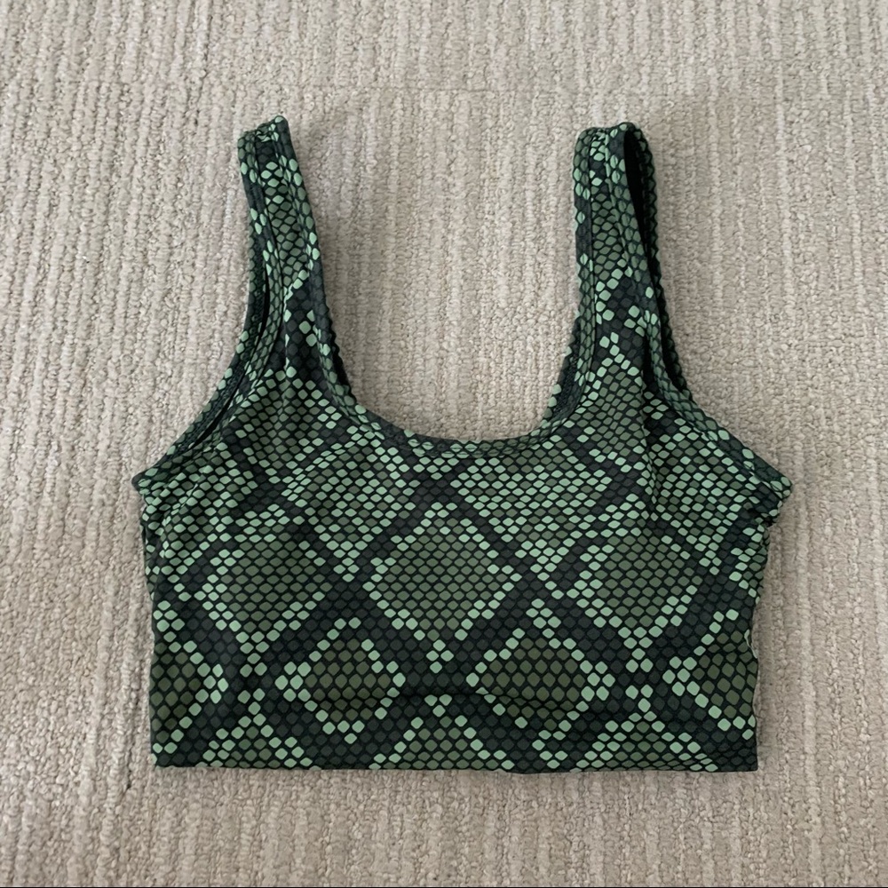 Animal Kingdom 2.0 Viper Top